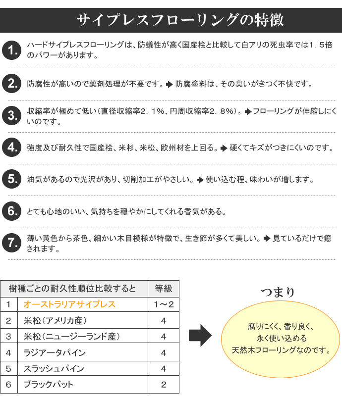TCvXt[O̓
