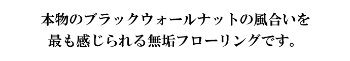 {̃ubNEH[ibg̕ł閳Ct[OłB