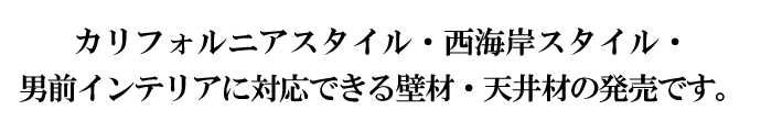 JtHjAX^CEC݃X^CEjOCeAɑΉłǍށEVނ̔łB