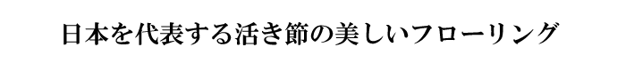 {\銈߂̔t[O