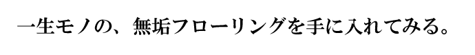 ꐶḿACt[OɓĂ݂B