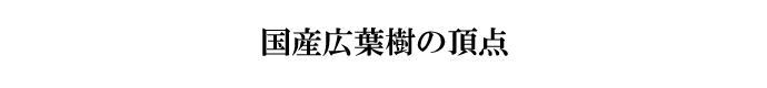 YLt̒_