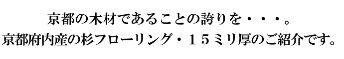 s̖؍ނł邱Ƃ̌ւEEEBs{Y̐t[OE15mm̂ЉłB