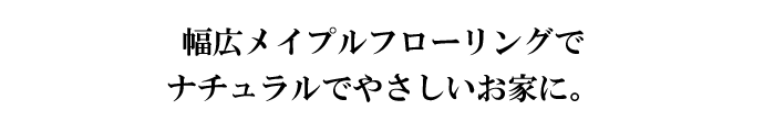 LCvt[OŃi`ł₳ƂɁB