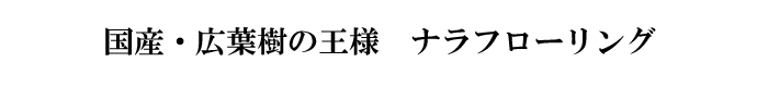 YELt̉l@it[O