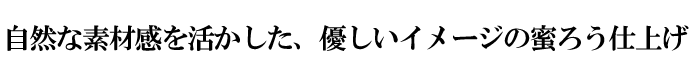 RȑfފADC[W̖낤dグ
