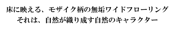 ɉfAUCN̖CCht[OB́ARD萬R̃LN^[
