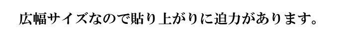 LTCYȂ̂œ\オɔ͂܂B