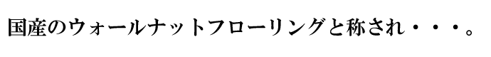 ỸEH[ibgt[OƏ̂EEEB