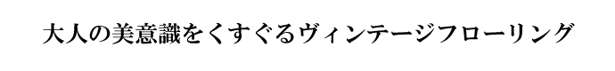 l̔ӎ郔Be[Wt[O