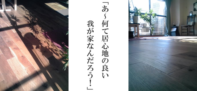 `ċSn̗ǂ䂪ƂȂ񂾂낤