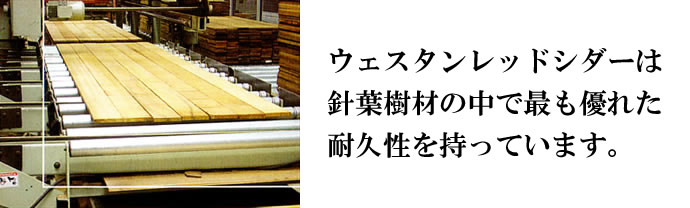 ウェスタンレッドシダーは針葉樹材の中で最も優れた耐久性を持っています。