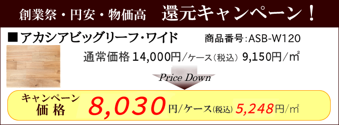 アカシアビッグリーフ