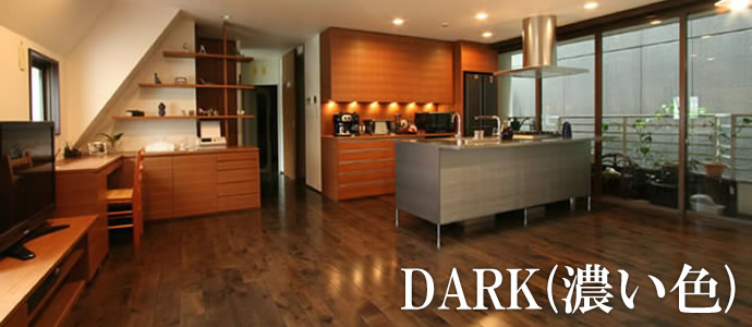 DARK(ZF)@Ct[O