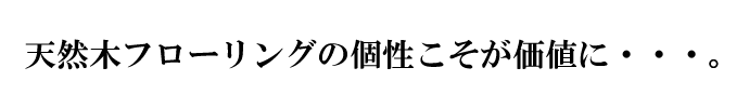 VR؃t[ǑlɁEEEB